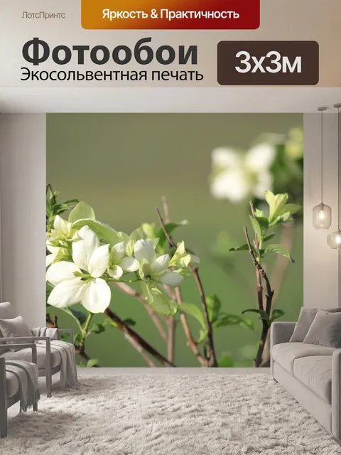 Фотообои Белые цветы