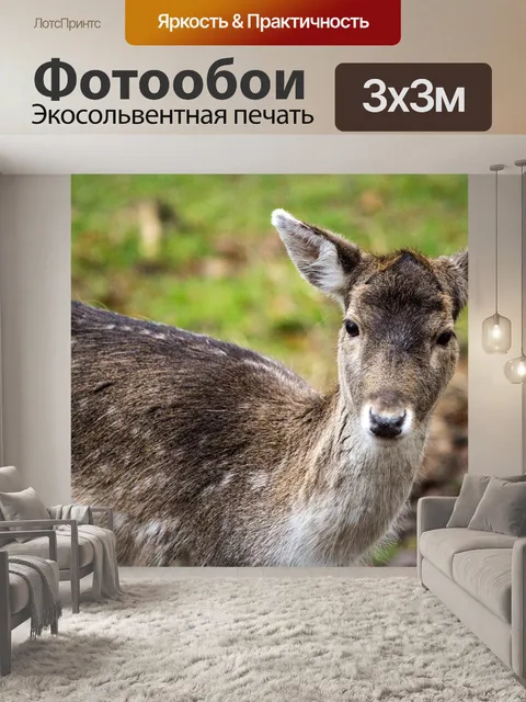 Фотообои Лань