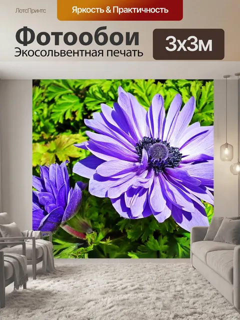 Фотообои Анемоны