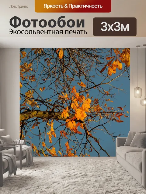 Фотообои Осенние листья