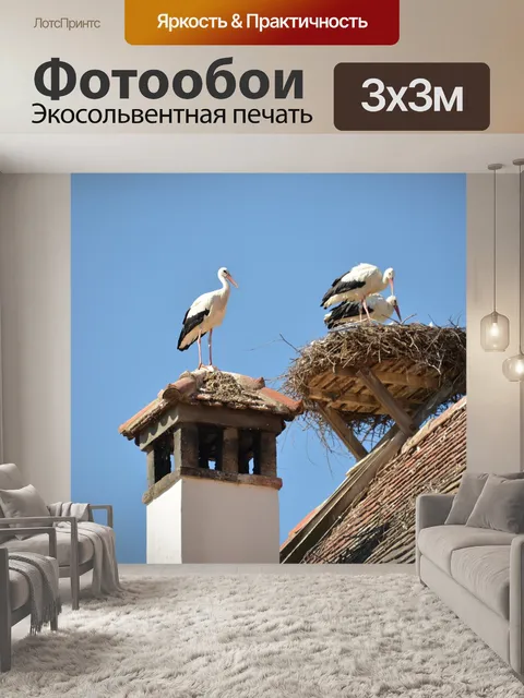 Фотообои Аист