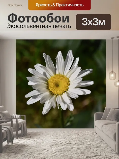 Фотообои Цветок