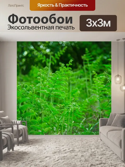 Фотообои папоротник