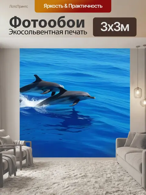 Фотообои наблюдение за дельфинами в открытом море