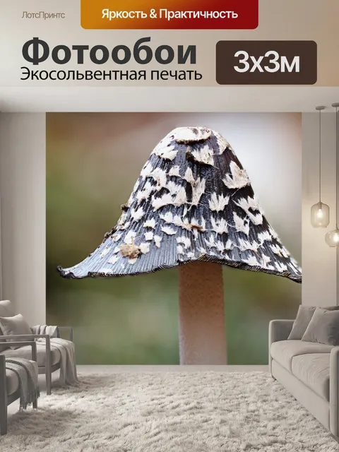 Фотообои Гриб