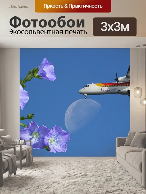 Фотообои Самолет
