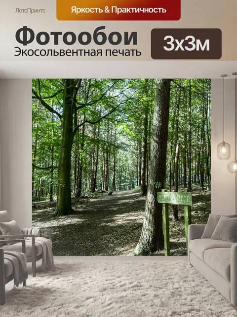 Фотообои лес