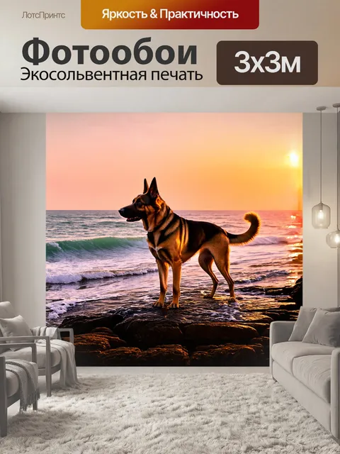 Фотообои старая немецкая овчарка, стоящая на обрывистом берегу океана во время заката