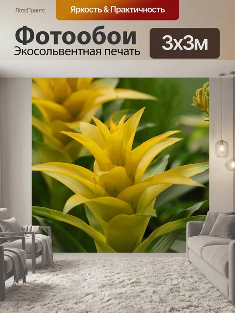Фотообои Цветы