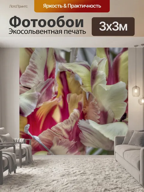 Фотообои Попугай тюльпан