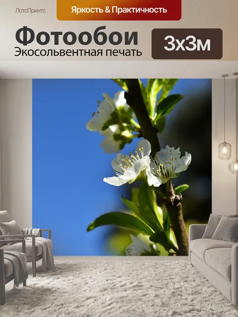 Фотообои Цветы