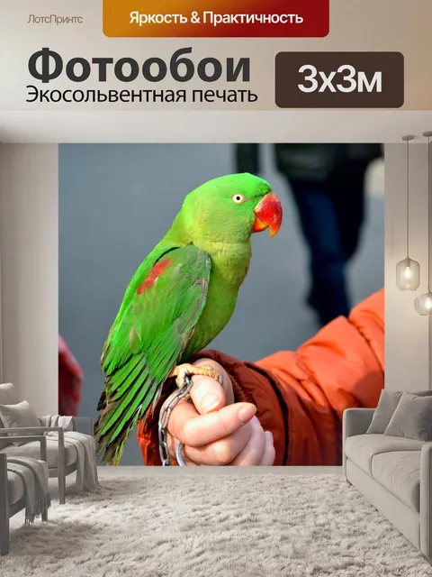 Фотообои Зеленый попугай 1