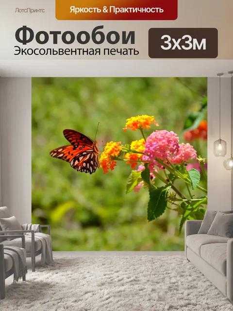 Фотообои Gulf Fritillary Бабочка