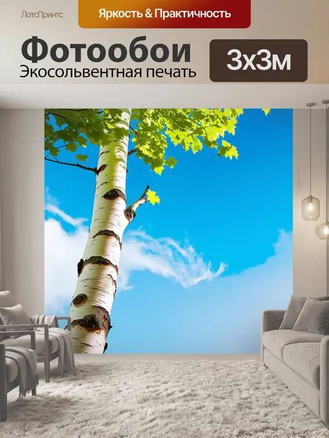 Фотообои строгие стволы берёз на фоне яркого голубого неба, с облаками, которые создают причудливые тени на земле