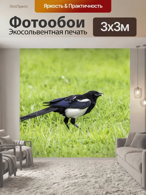 Фотообои Трава