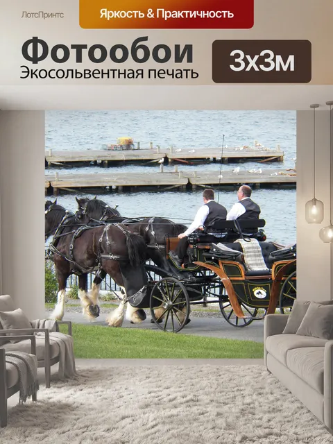 Фотообои конные перевозки