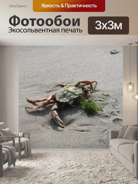 Фотообои Краб