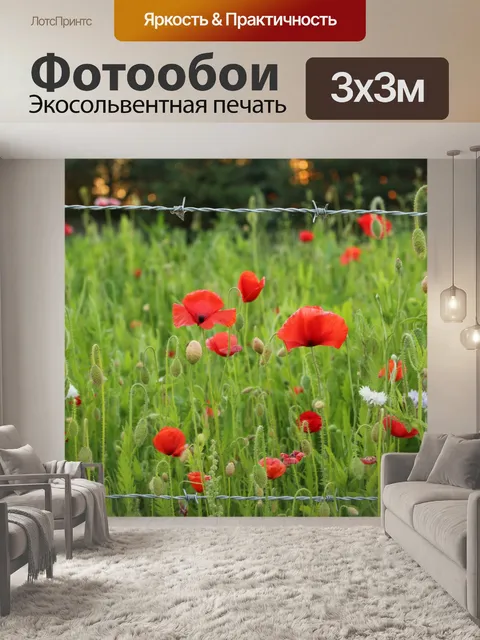 Фотообои Красочные Полевые цветы Красные маки
