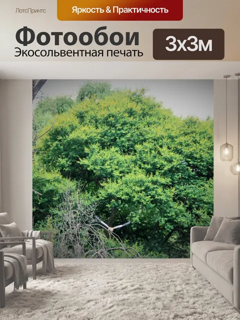 Фотообои плотная зеленая листва