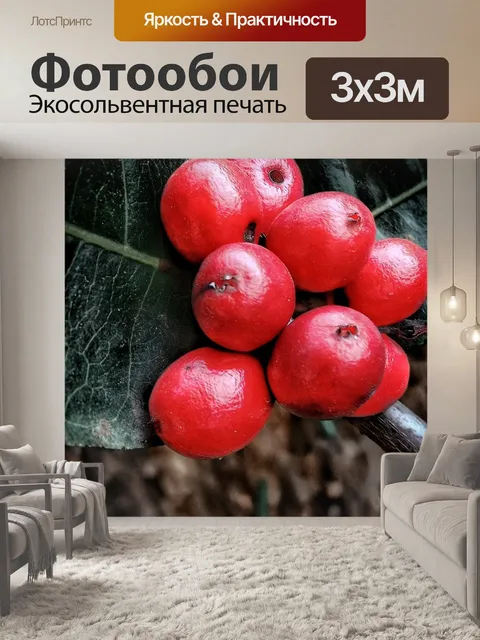 Фотообои Фрукты