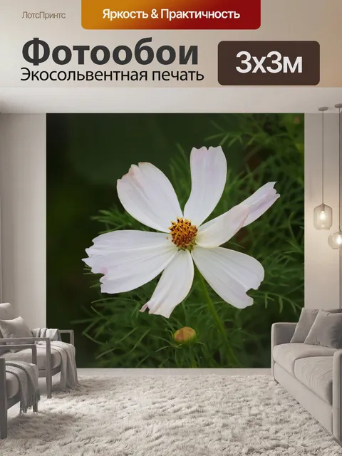 Фотообои Цветок
