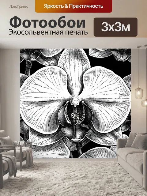 Фотообои Орхидея в гравюрной графике