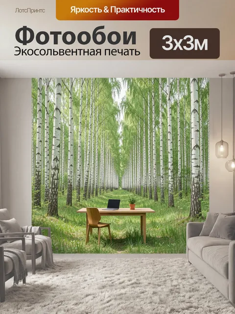 Фотообои Рабочее место в березовой роще