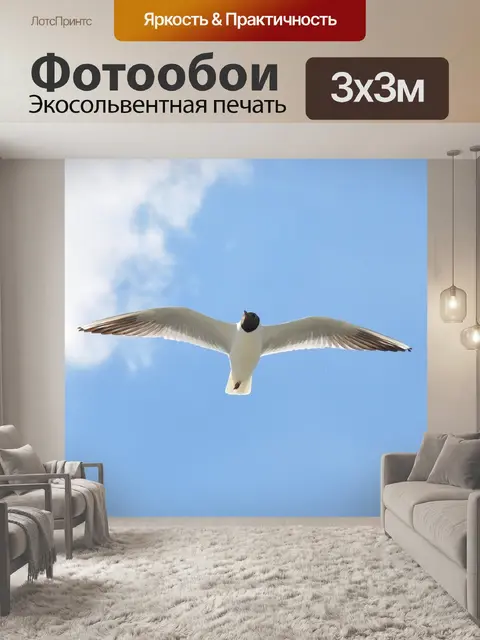 Фотообои Птицы