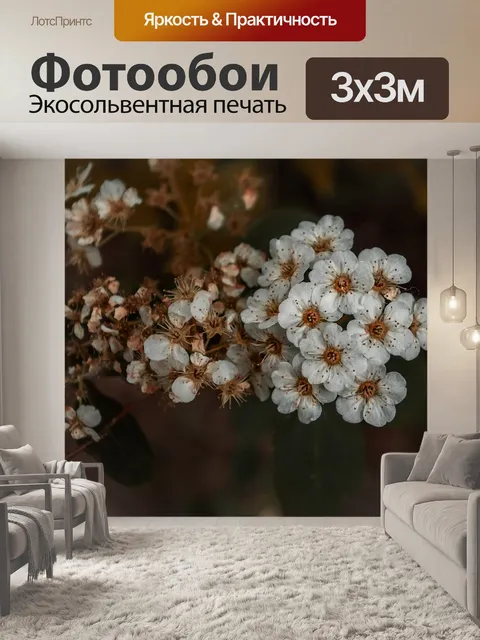 Фотообои Цветы