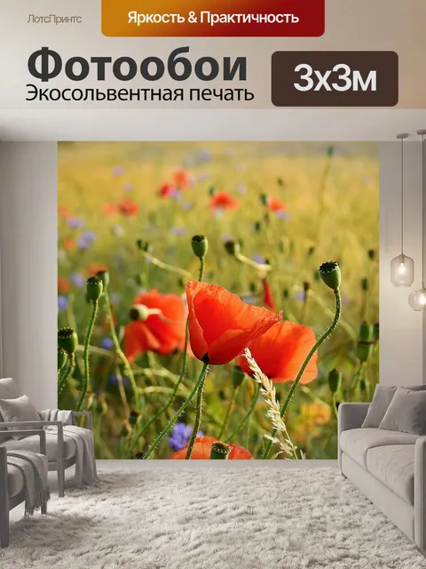 Фотообои Поле