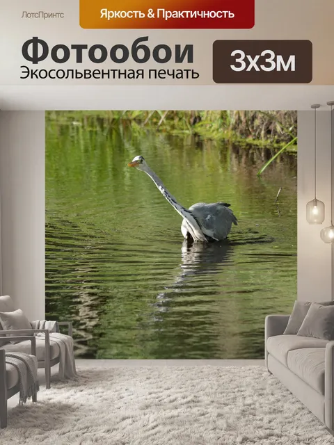 Фотообои Поймать рыбу 1