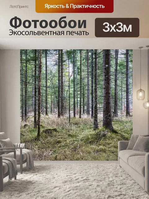 Фотообои Деревья