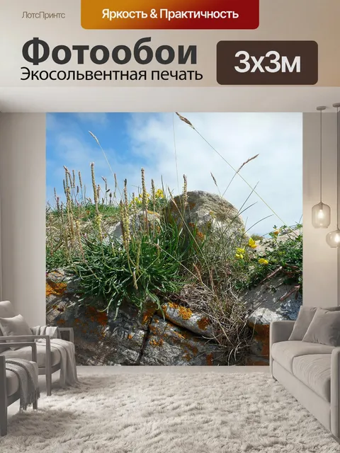 Фотообои Травы