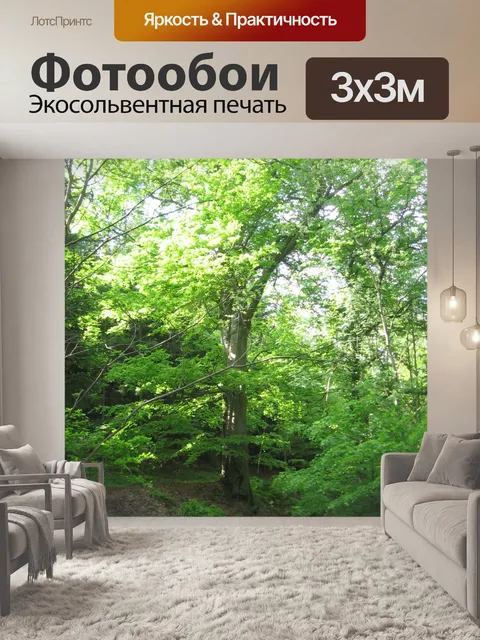 Фотообои Массивный бук