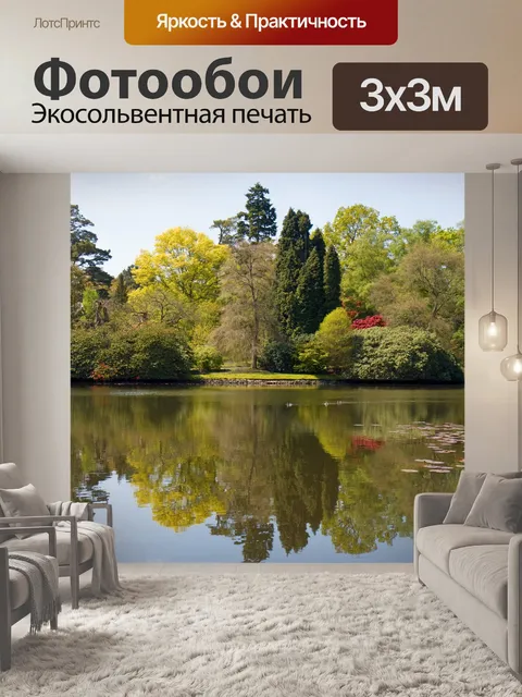 Фотообои Деревья Отражение