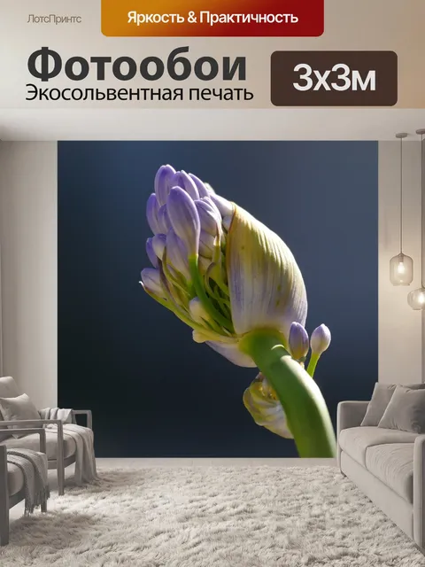 Фотообои Цвести