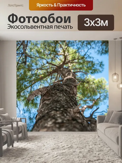 Фотообои Ладонь