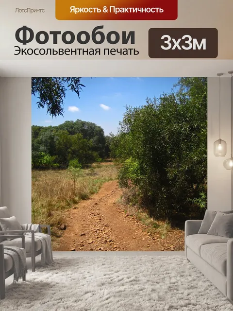 Фотообои вид на извилистую грунтовую дорогу