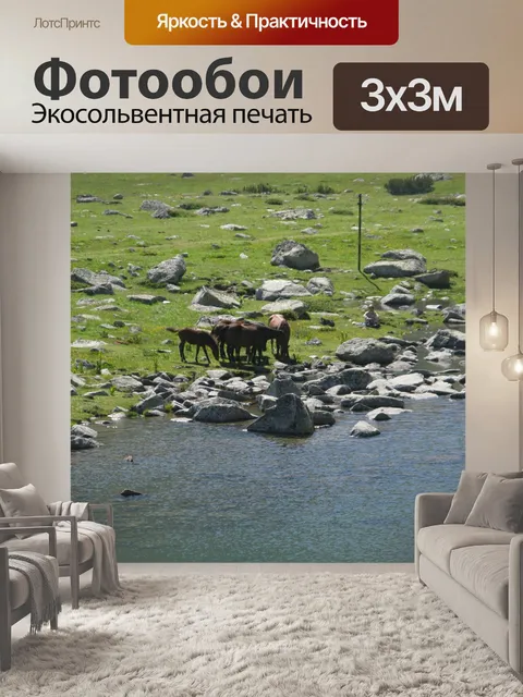 Фотообои Лошади
