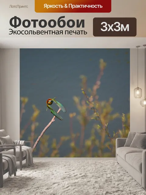 Фотообои Золотистая щурка