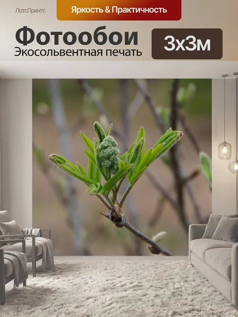 Фотообои Бутон