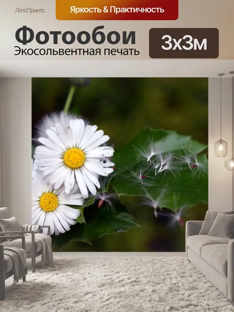 Фотообои Цветы