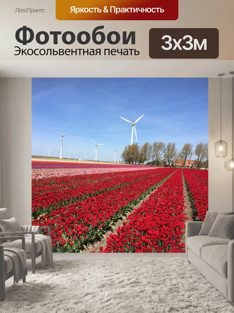 Фотообои Тюльпан