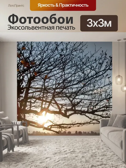 Фотообои Закат