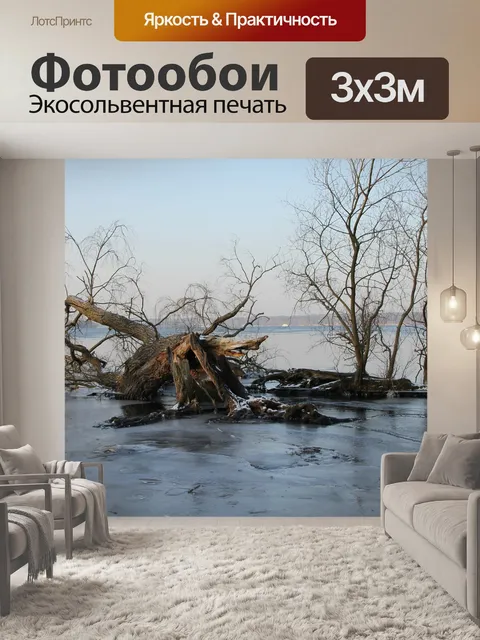 Фотообои Зима