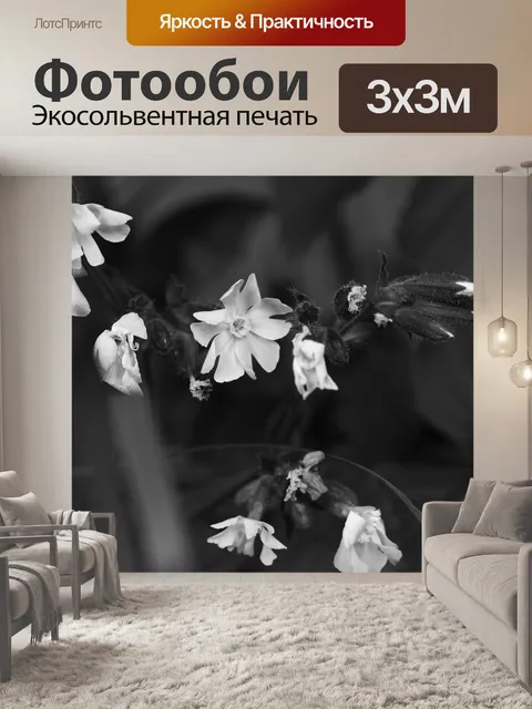 Фотообои Цветы