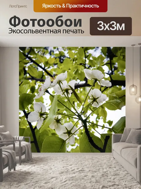 Фотообои Цветы