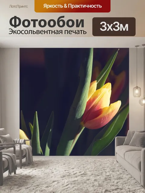 Фотообои Тюльпан