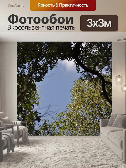 Фотообои Лес