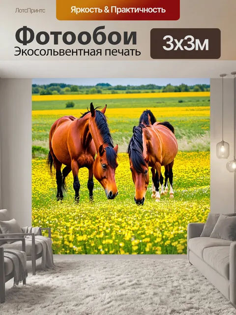 Фотообои лошади, гуляющие по цветущему полю